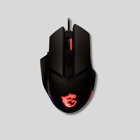 Souris